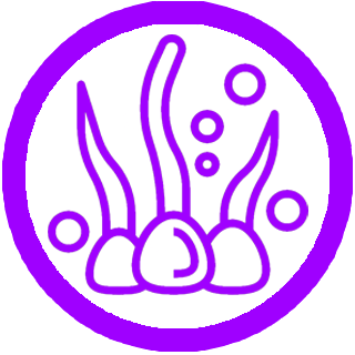 Undersea